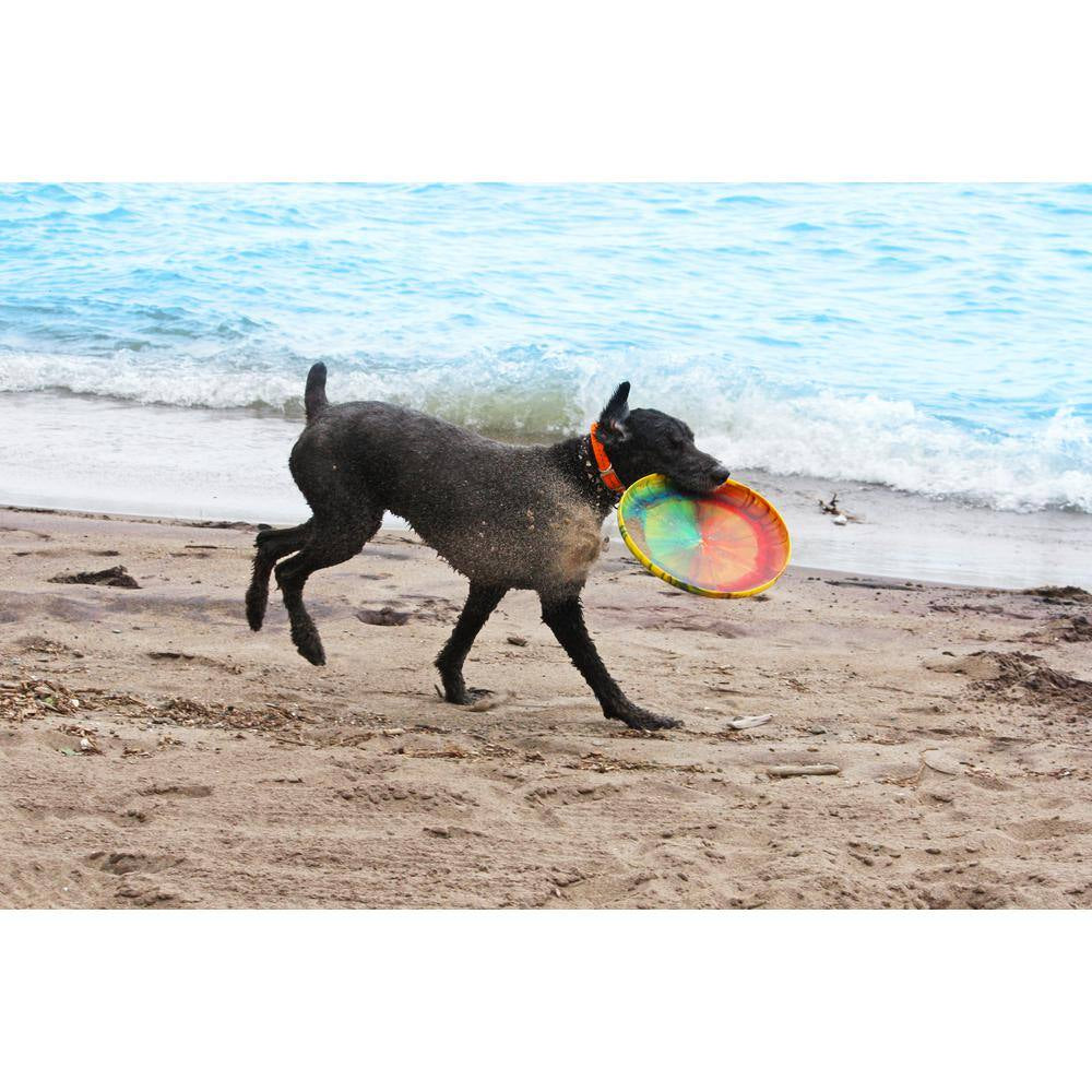 Mother Hover Tie Dye Flying Disc