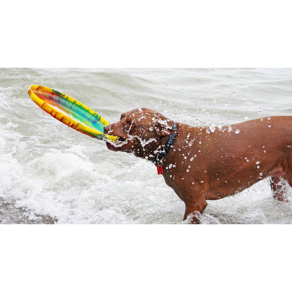 Mother Hover Tie Dye Flying Disc