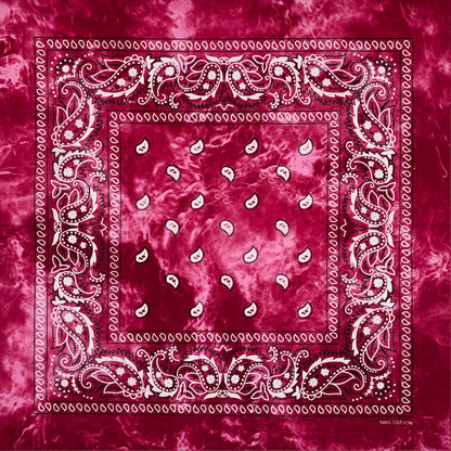 Tie Dye Cashew Paisley 100% Cotton Square Bandana